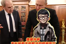聊情报分析：明明拿到美国情报，俄国为啥大意了？ #循迹晓讲视频封面