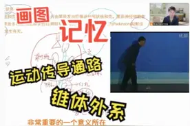 画图记忆运动传导通路-锥体外系 #医学 #知识 #学习