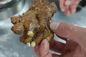 生姜 黄姜 老姜 干姜 有什么不同？ |  【北京厚朴中医】美食课。#美食趣胃计划  #徐文兵 #姜视频封面
