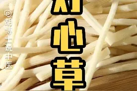 灯心草 #灯心草 #灯芯草 #胡博士说中医视频封面