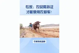 专家：农民需持证 才能使用农耕车！#农民 #耕地机 #三农 #安全驾驶 #现代农业机械视频封面