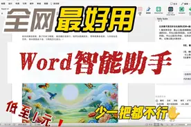 发现一个Word智能助手，支持中文，太好用了视频封面