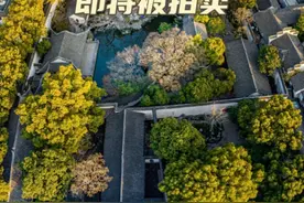惊呆！有着"江南第一私家园林"美誉的它，要被拍卖了！ #热点 #苏州 #苏州园林 #法拍 #拍卖会视频封面
