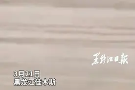 结束冬眠！黑熊出没 界江遛弯#黑龙江dou知道视频封面