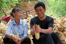 女婿到丈母娘家抢着干活，丈母非常高兴，丈母娘：女儿没有嫁错人视频封面