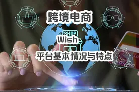 Wish-平台基本情况与特点 #跨境电商教学 #跨境电商零售视频封面