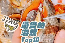 你知道最贵的海螺是哪种吗 最贵的海螺Top10 #百科 #美食 #海鲜视频封面