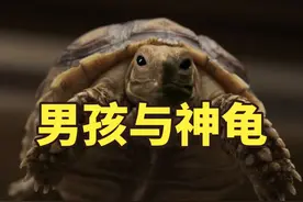 男孩捡到一只小乌龟，一夜竟长大几十倍，成了180斤的神龟视频封面