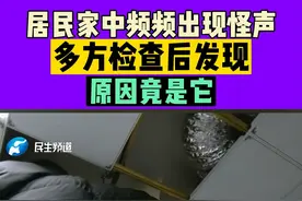 河南郑州，居民家中频频出现怪声，多方检查后发现，原因竟是它#居民家中出现怪声 #河南dou知道视频封面