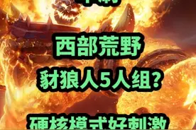 或许硬核模式的精髓就是这么玩儿吧！盗贼单刷西部荒野豺狼人5人组 #魔兽世界 #魔兽世界怀旧服视频封面
