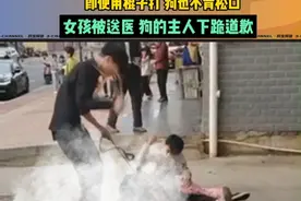 小女孩被大狗扑倒在地撕咬，看着让人心疼，遛这种狗为什么不戴嘴套呢？#烈性犬 #狗咬人视频封面