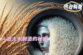 你知道人造大米是如何加工制造的吗？#人造大米 #科普小知识视频封面
