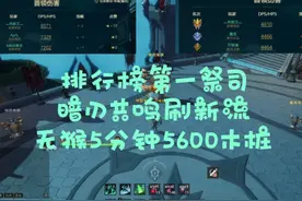 真 · 幻灵祭司榜一，暗刃共鸣流5分钟5600木桩全攻略视频封面