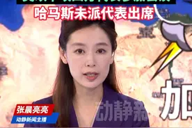 “真停火 还是又‘作秀’”？加沙地带停火谈判重启，美以卡埃四方代表参加会谈，哈马斯未派代表出席视频封面