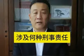 涉及何种刑事责任？ #法律 #张勇说法 #抖来普法2024 #三只羊 #月饼  @DOU+小助手视频封面