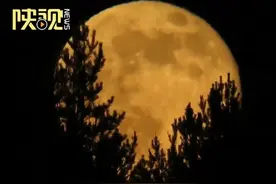 今年中秋节放假三天需调休，9月14日上班。 #中秋节视频封面