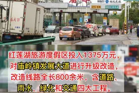 投资1375万！鄂州！庙岭：升级主干道 擦亮小城镇#鄂州 #交通安全 #擦亮小城镇 #老百姓的心声视频封面