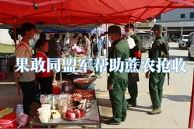 果敢同盟军派出百名指战员帮助蔗农抢收甘蔗运往云南 #果敢视频封面