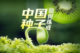 #一颗中国种子的故事 
 
“一斤进口番茄种子能买一辆法拉利”视频封面