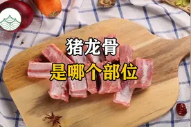 猪龙骨是哪个部位？#美食视频封面