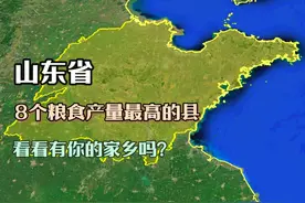 山东8个粮食产量大县，其中一个誉为“黄河粮仓”，有你家乡吗视频封面