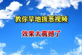 教你制作旱地拔葱视频，效果太震撼了