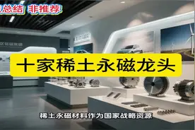 深度剖析：稀土永磁概念股的十大龙头公司，投资机会全掌握！视频封面