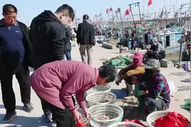 在天津买海鲜去哪个港口？30元50斤海鲜麻袋装，渔船靠岸抢着买
