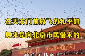 在天安门前放飞的和平鸽，原来是北京各区鸽友养的！#天安门