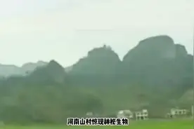 河南出现离奇怪物，毒蛇靠近就死，连人也被吃过