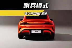 汽车上最有用的功能就是哨兵模式