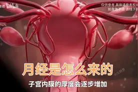 月经是如何形成的？这个神奇的生理过程又是如何运行的呢？