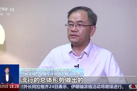 确诊超4000例 基孔肯雅热疫情如何防范？