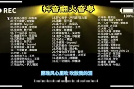 抖音最火粤语歌50首无损版，纯音乐分享🎶
