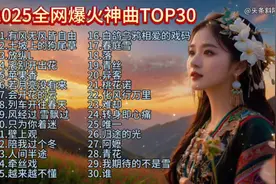 2025全网爆火神曲30首，每首都很好听！