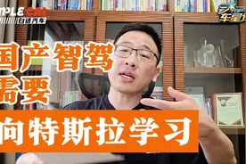 国产智驾需要向特斯拉学习！
