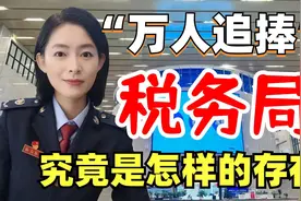 高大上?税务局现状，月薪6k、钱多事少、每天闲的慌、晋升快...视频封面