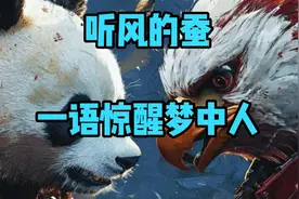 听风的蚕：一语惊醒梦中人。视频封面
