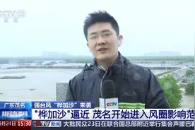“桦加沙”逼近 广东茂名开始进入风圈影响范围