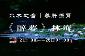 五音疗愈｜肝郁肾虚必听！一曲解压助眠神曲，横扫头晕耳鸣
