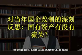 对当年国企改制的深刻反思：国有资产有没有流失？视频封面