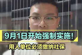 9月1日开始强制实施！用人单位必须缴纳社保，听听大哥怎么说的