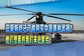 直10武装直升机落户巴基斯坦后，巴方还可能购买中国哪种武器？