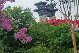 发现一个残忍的真相：70后的中年女人图片