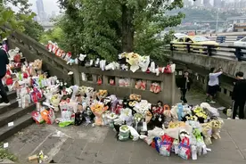 胖猫事件发生后麦当劳这次狠狠的打了国内品牌的脸图片