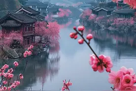这个世界上最不要脸的逻辑就是：我可以打你图片