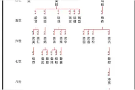【九子夺嫡】八阿哥胤禩后代世系图图片