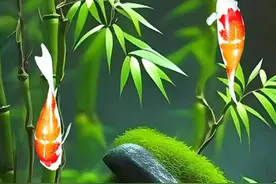 竹子四季常青，寓意着长寿、坚强和平安，也象征着顽强...图片