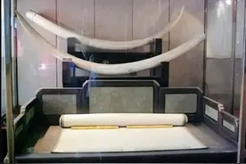 1962年，古董商在50岁李寡妇家借宿，他说：我出100元，你愿意吗图片
