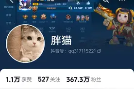 谭竹# #21岁跳江男生“胖猫”已火化# #胖猫#图片